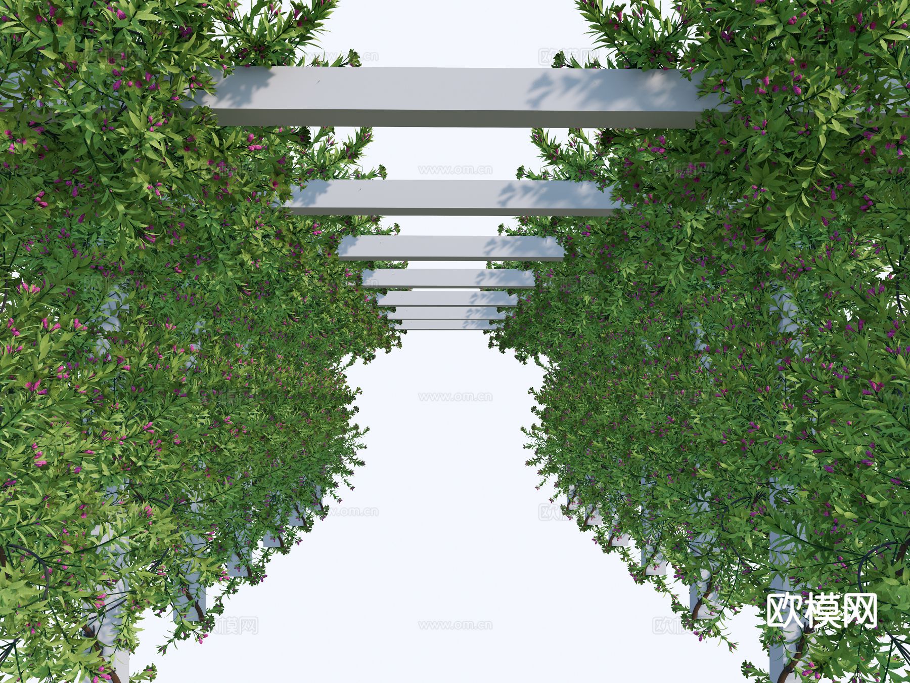 藤蔓绿植 爬藤 爬山虎 常青藤su模型下载（渲染图3）