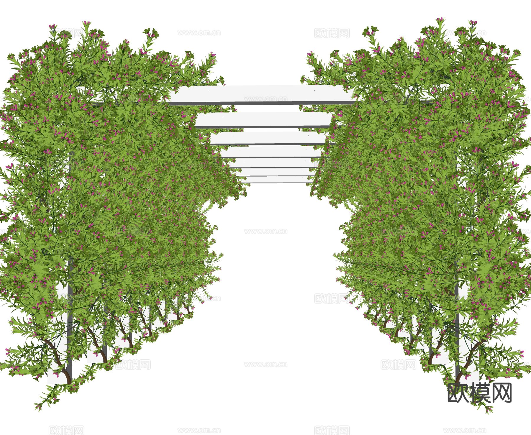 藤蔓绿植 爬藤 爬山虎 常青藤su模型下载（渲染图1）