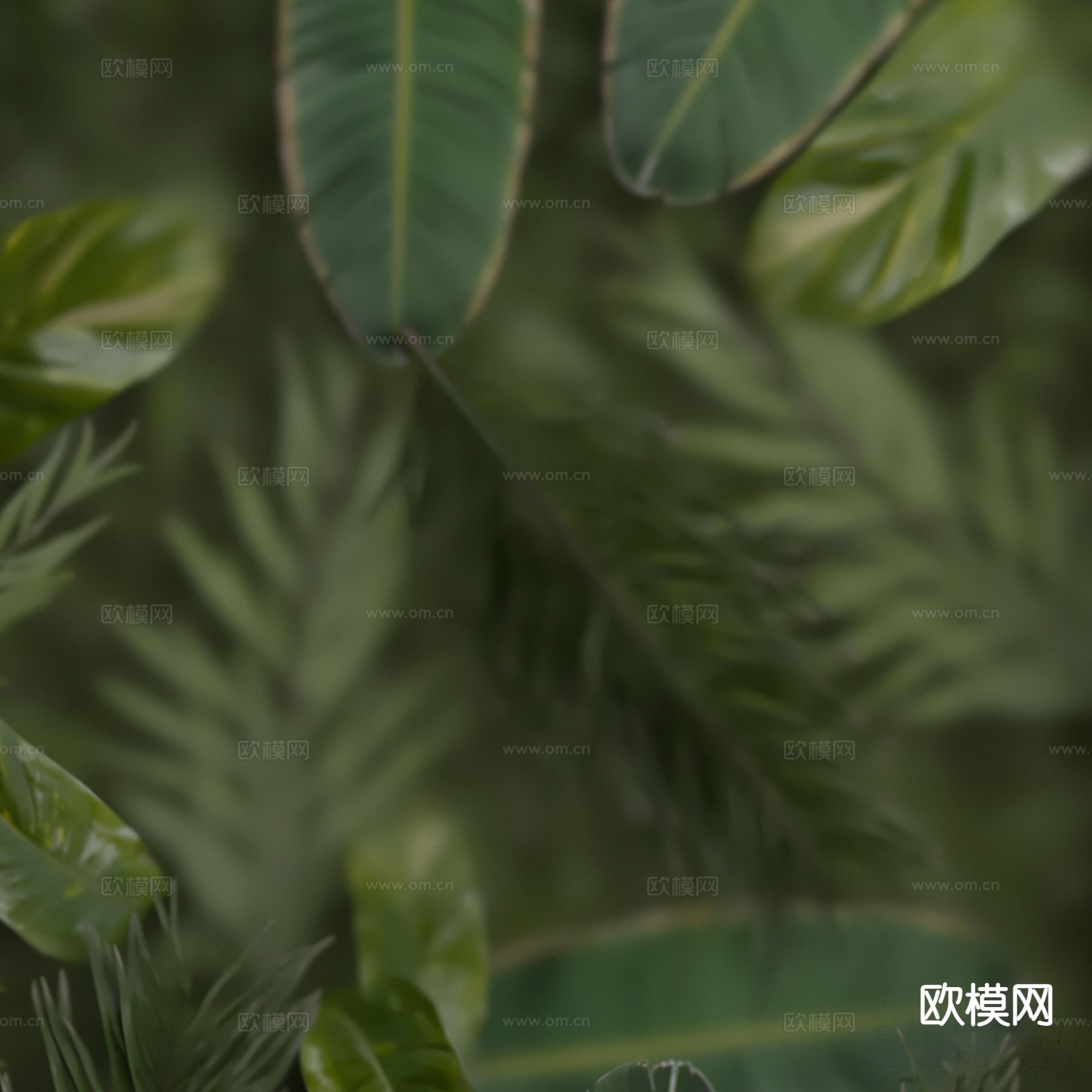 现代热带绿植墙 植物墙3d模型