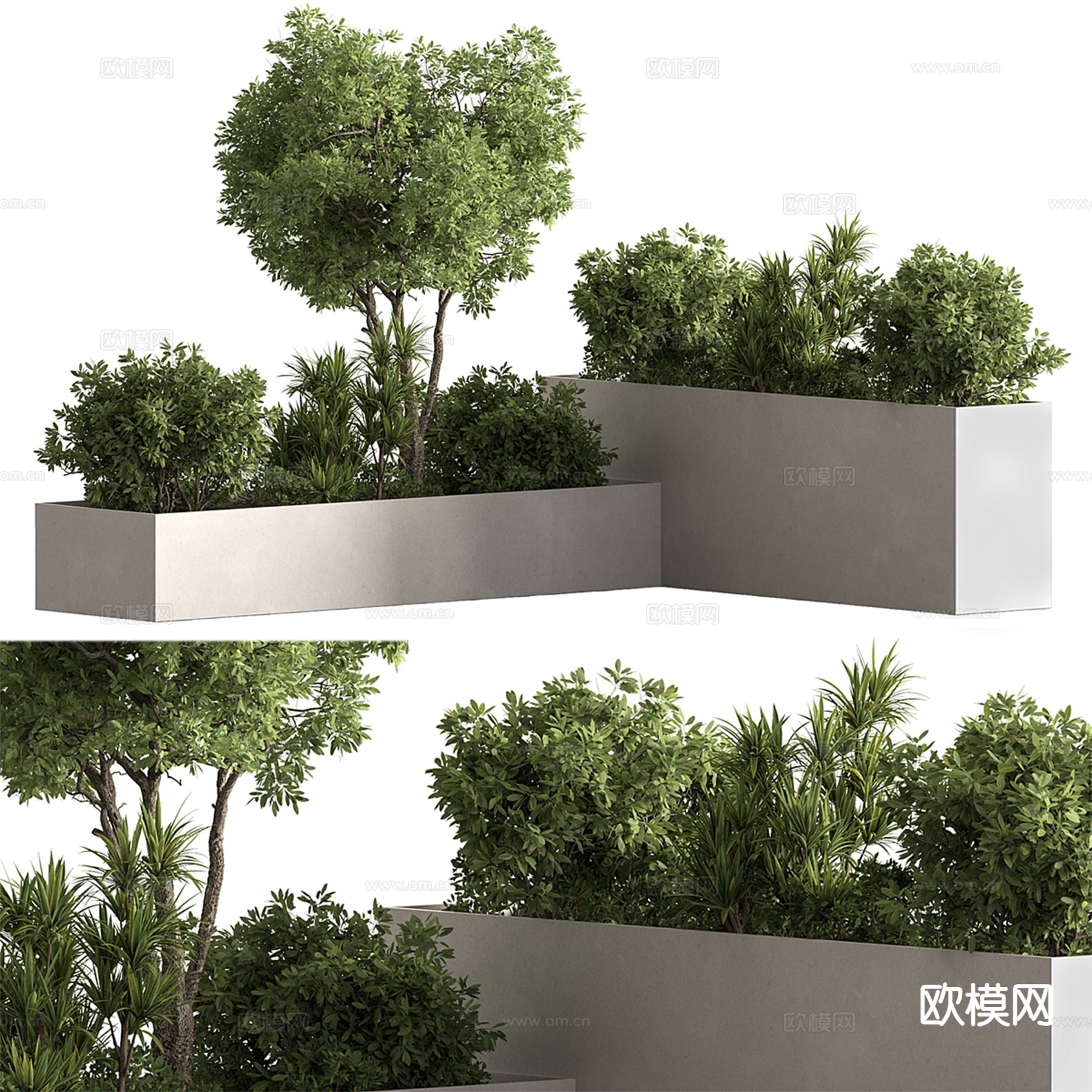 现代户外植物 花坛 花箱3d模型