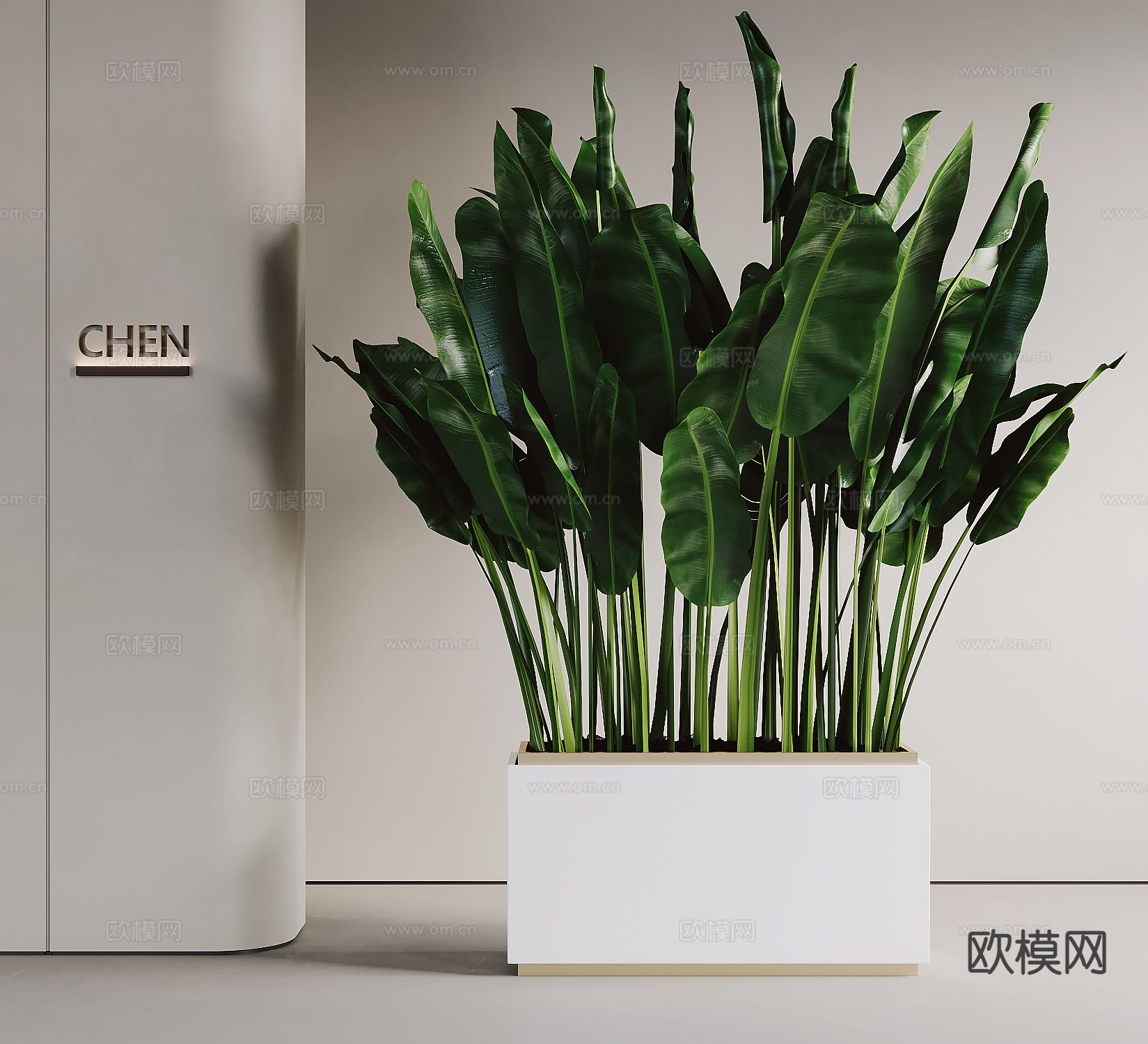 植物花箱 室内花箱 芭蕉叶3d模型