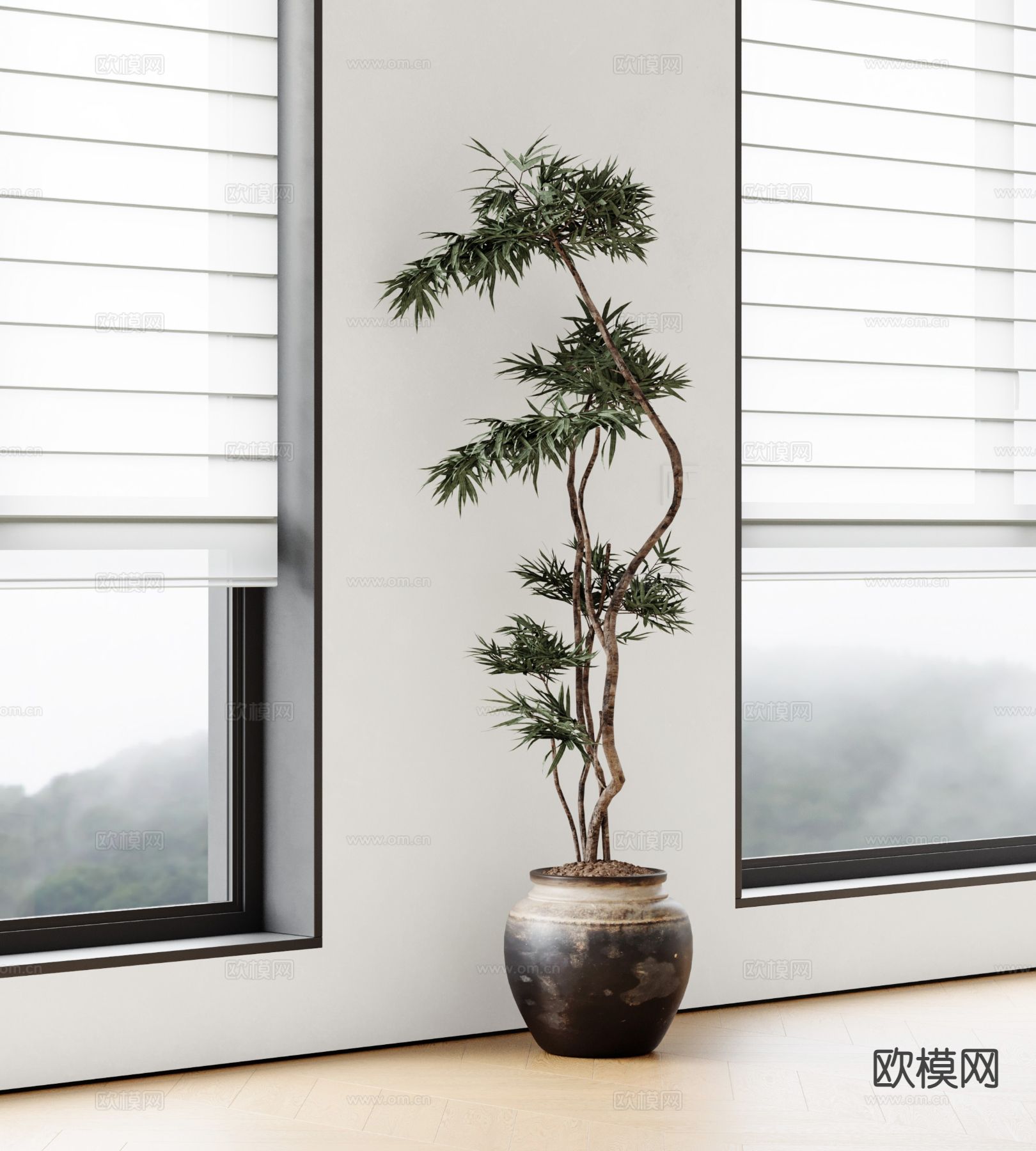 陶罐绿植 盆栽 仿真植物3d模型