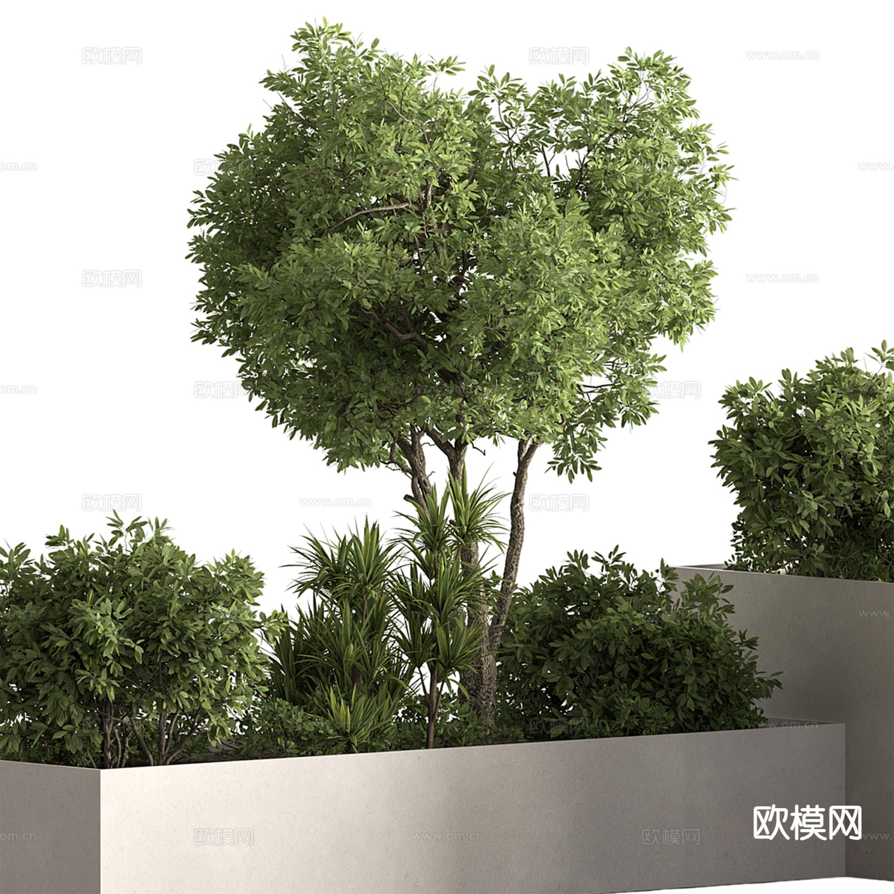 现代户外植物 花坛 花箱3d模型