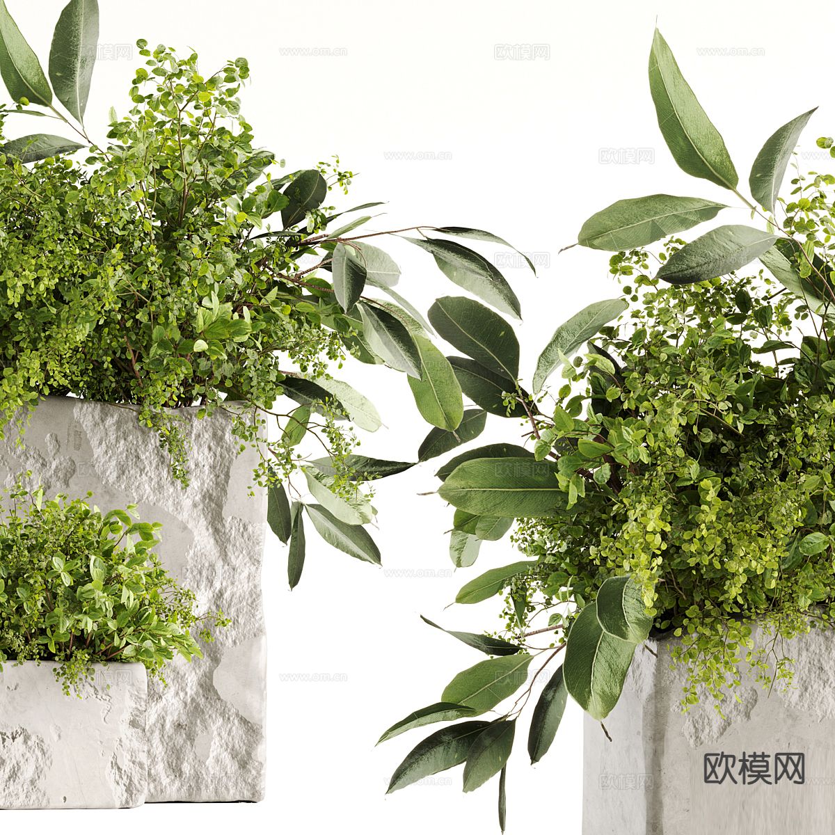 现代花坛 绿植 植物3d模型