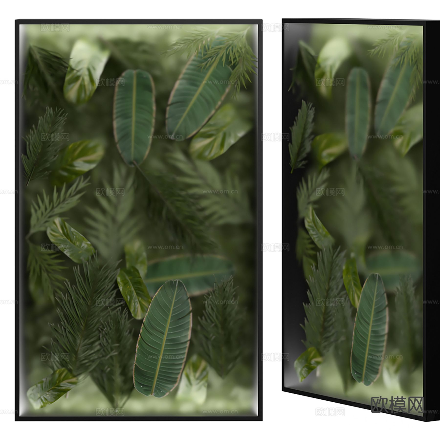 现代热带绿植墙 植物墙3d模型