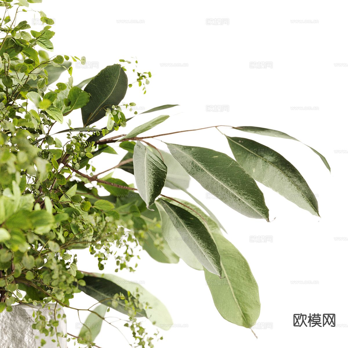 现代花坛 绿植 植物3d模型