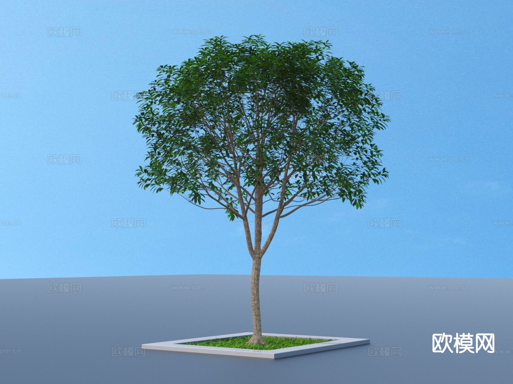 树池 景观小品3d模型