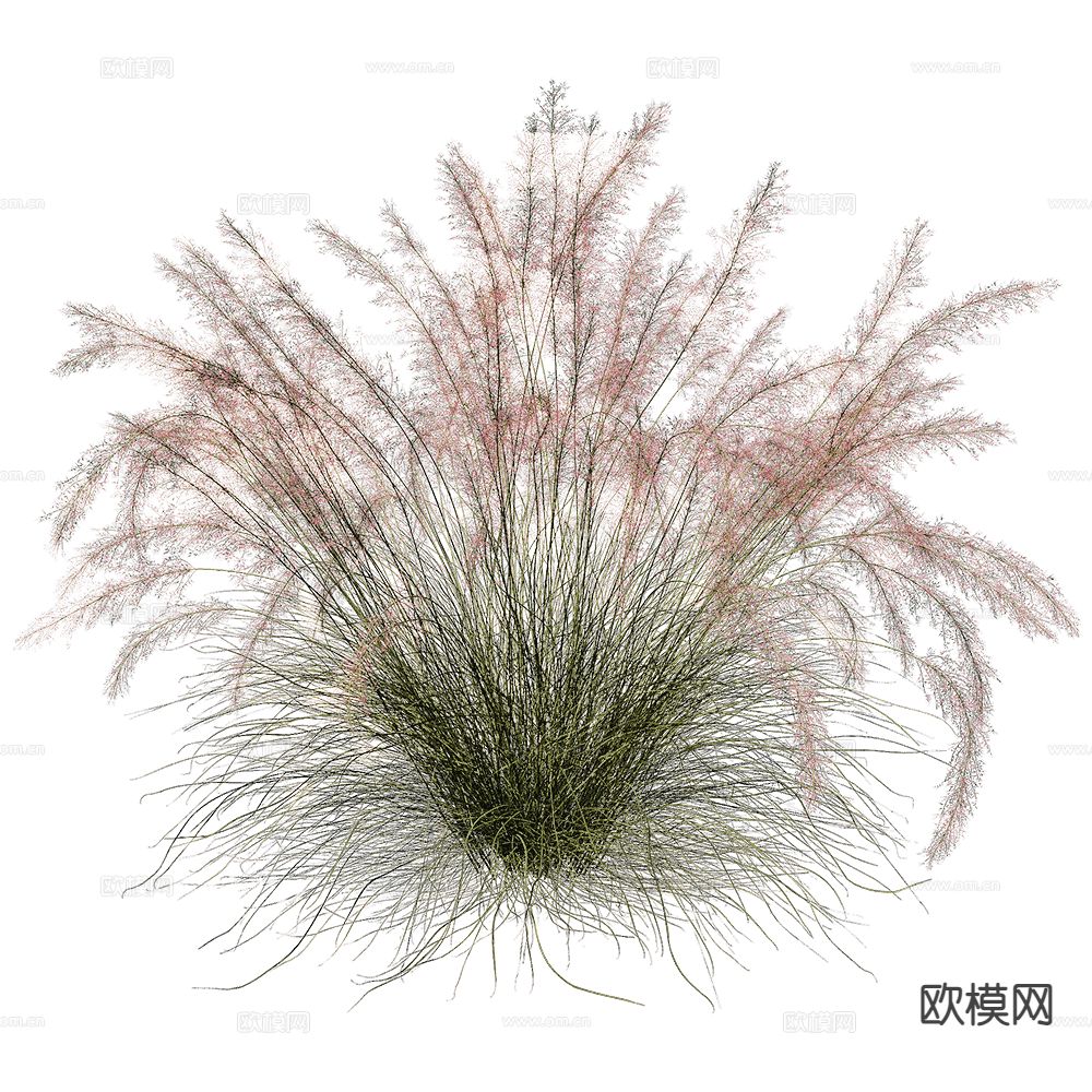 现代植物 花草3d模型下载
