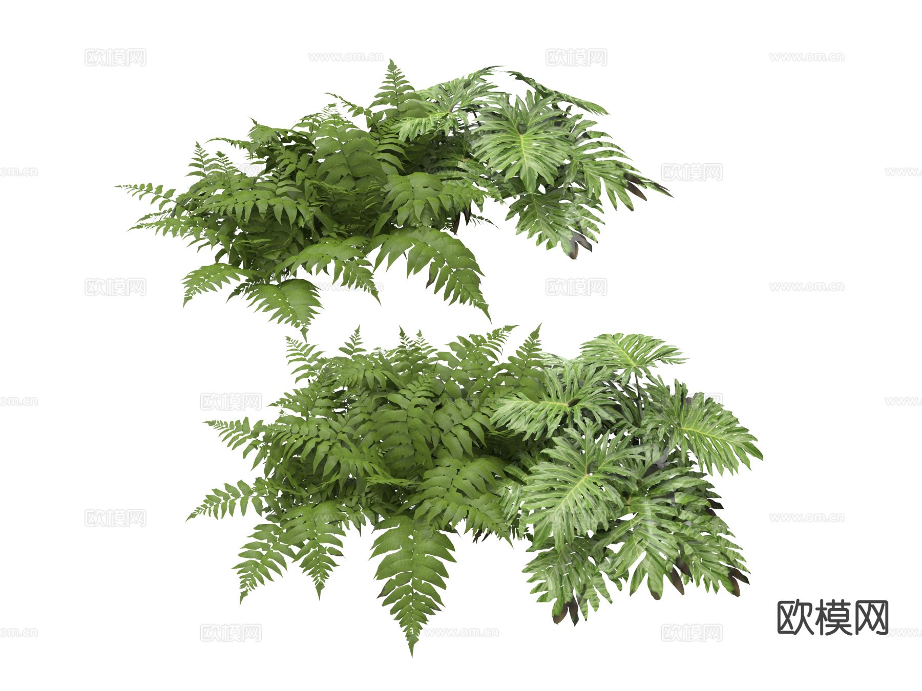 现代植物 花草3d模型