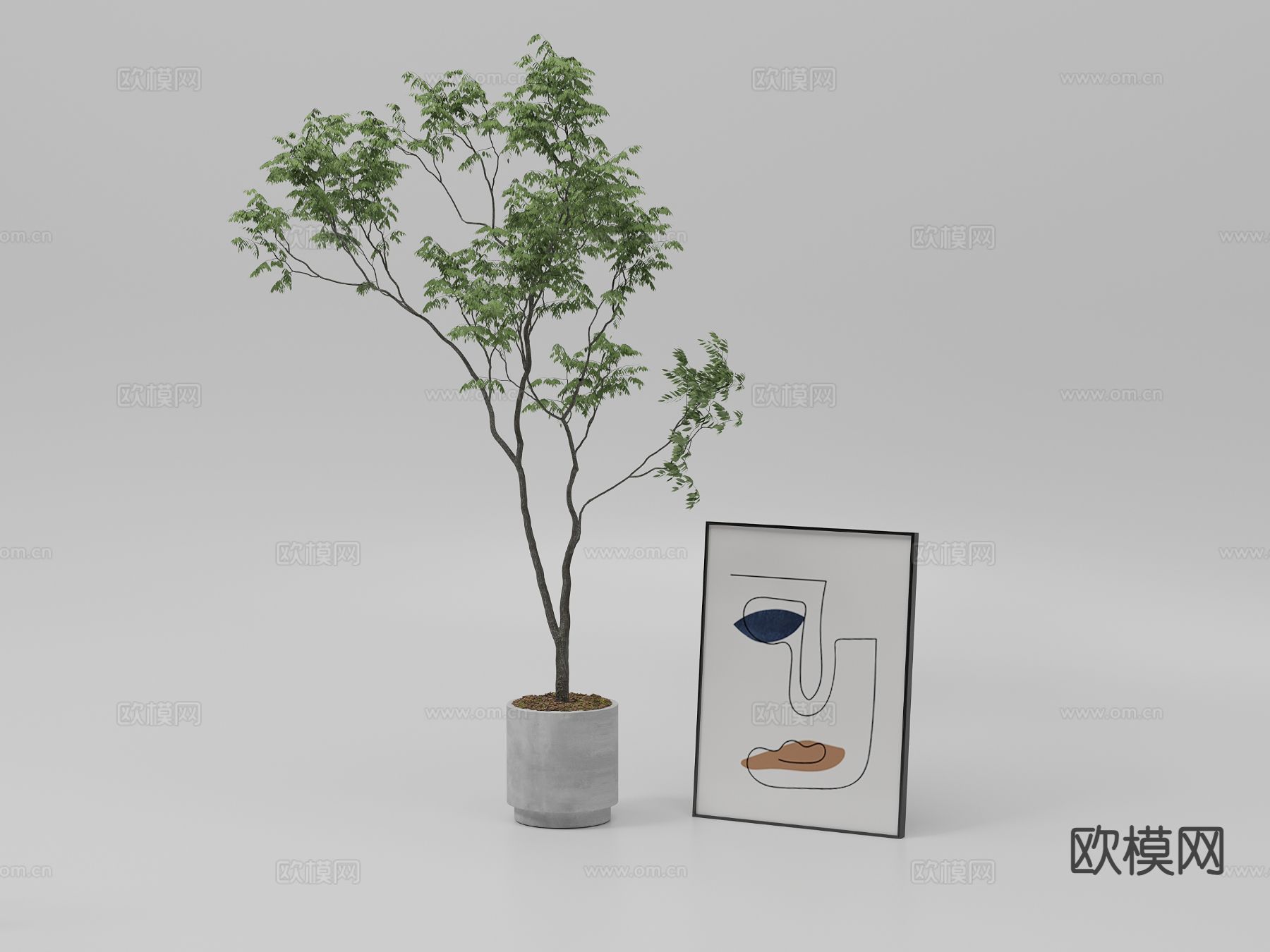 植物 盆栽 室内植物3d模型