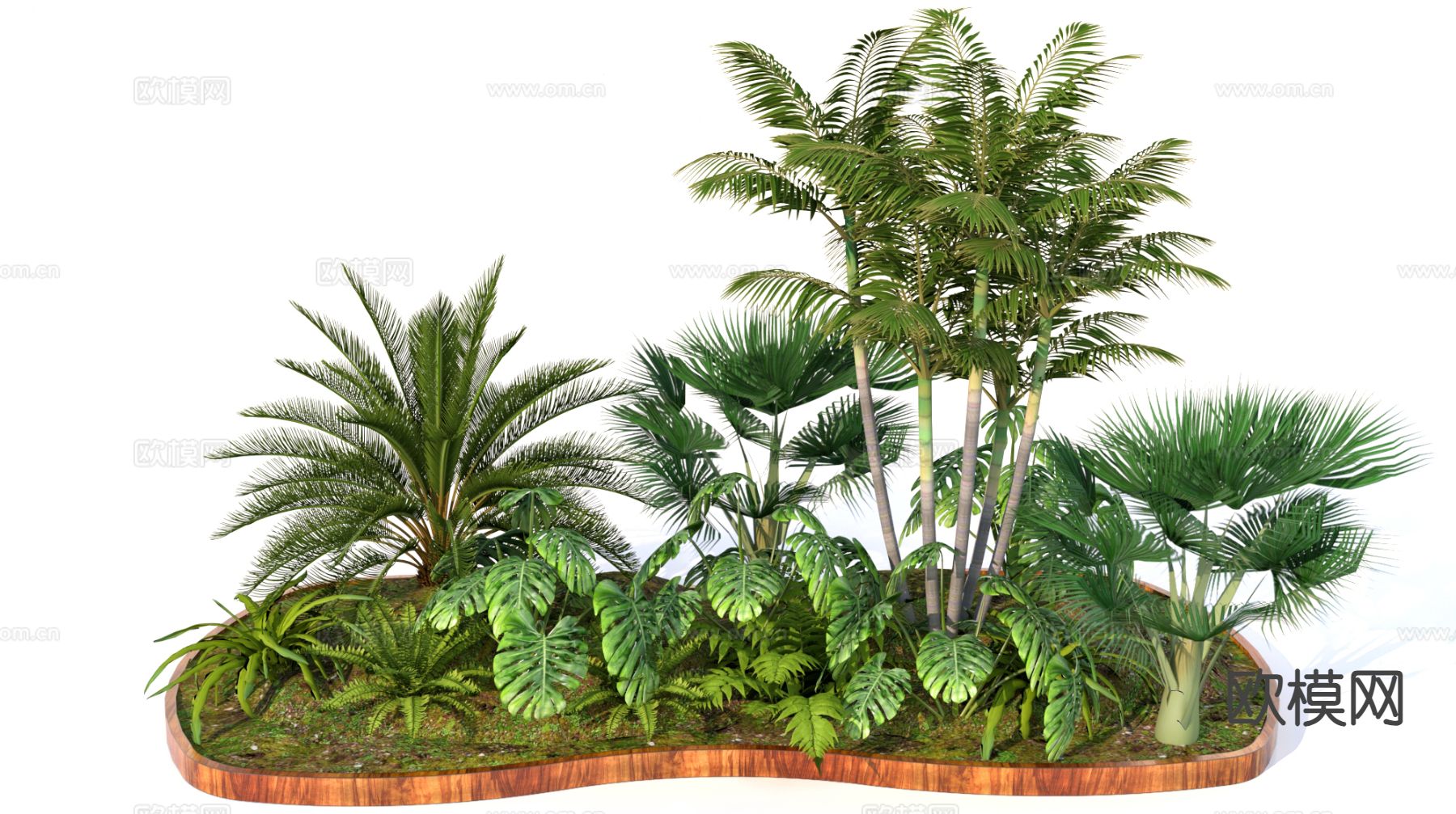 景观植物 灌木 花镜su模型下载（渲染图2）