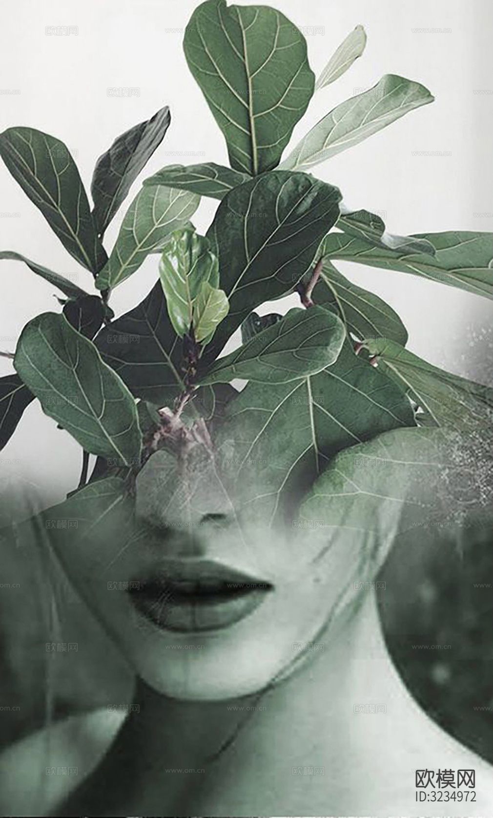 现代简约艺术摄影相框装饰画挂画贴图下载