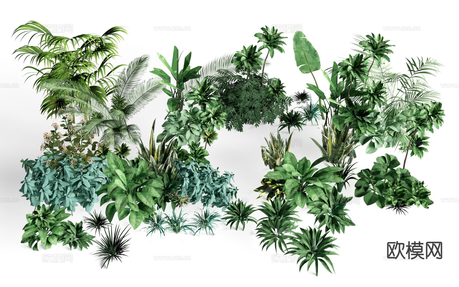 花草 绿植 植物su模型下载（渲染图2）