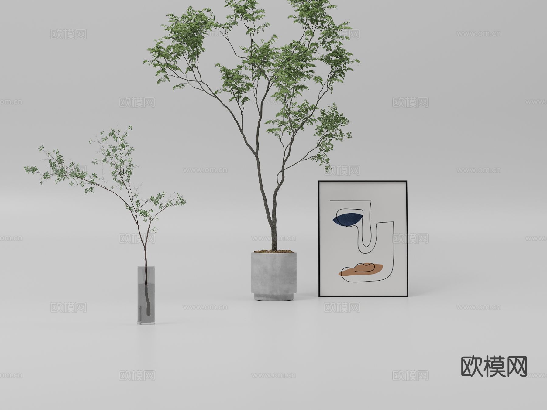 植物 盆栽 室内植物3d模型