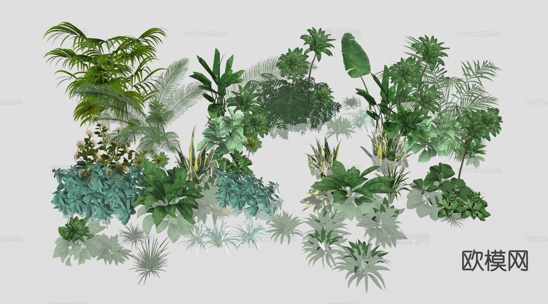花草 绿植 植物su模型下载（渲染图1）