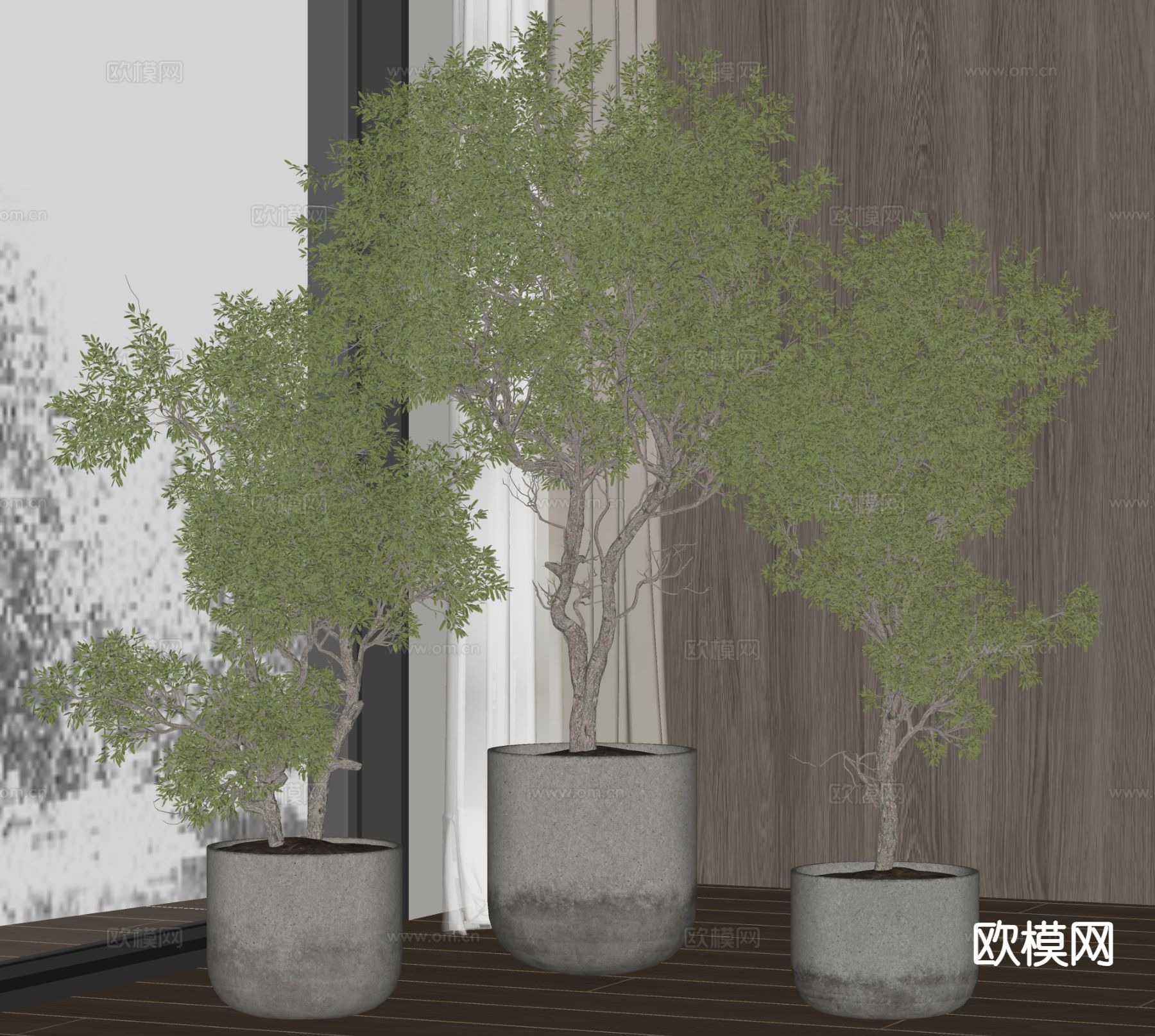 植物 盆栽su模型下载（渲染图1）