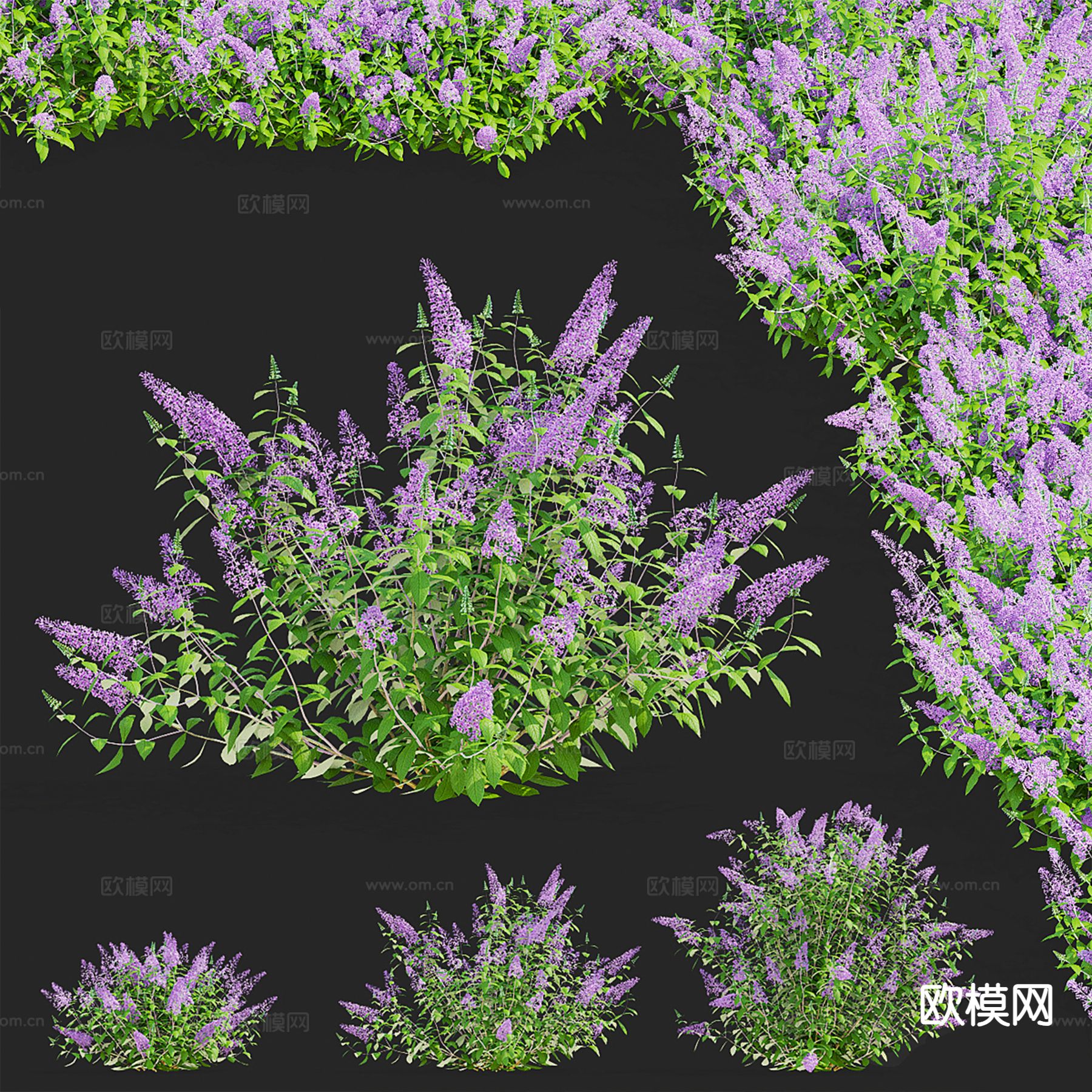 现代花草3d模型