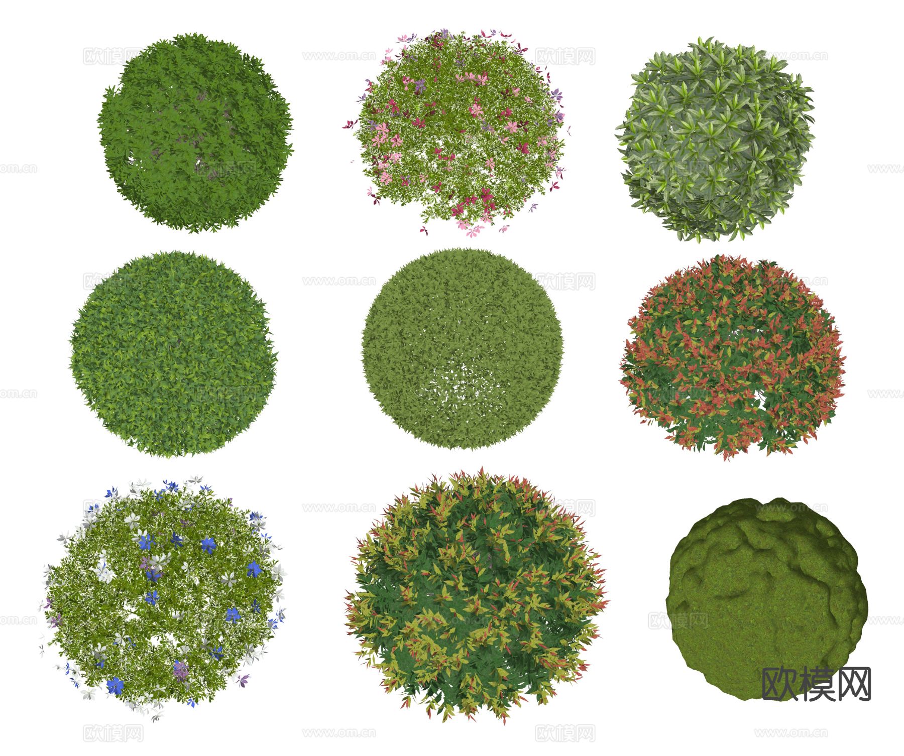 灌木绿篱 灌木球 灌木丛su模型下载（渲染图1）
