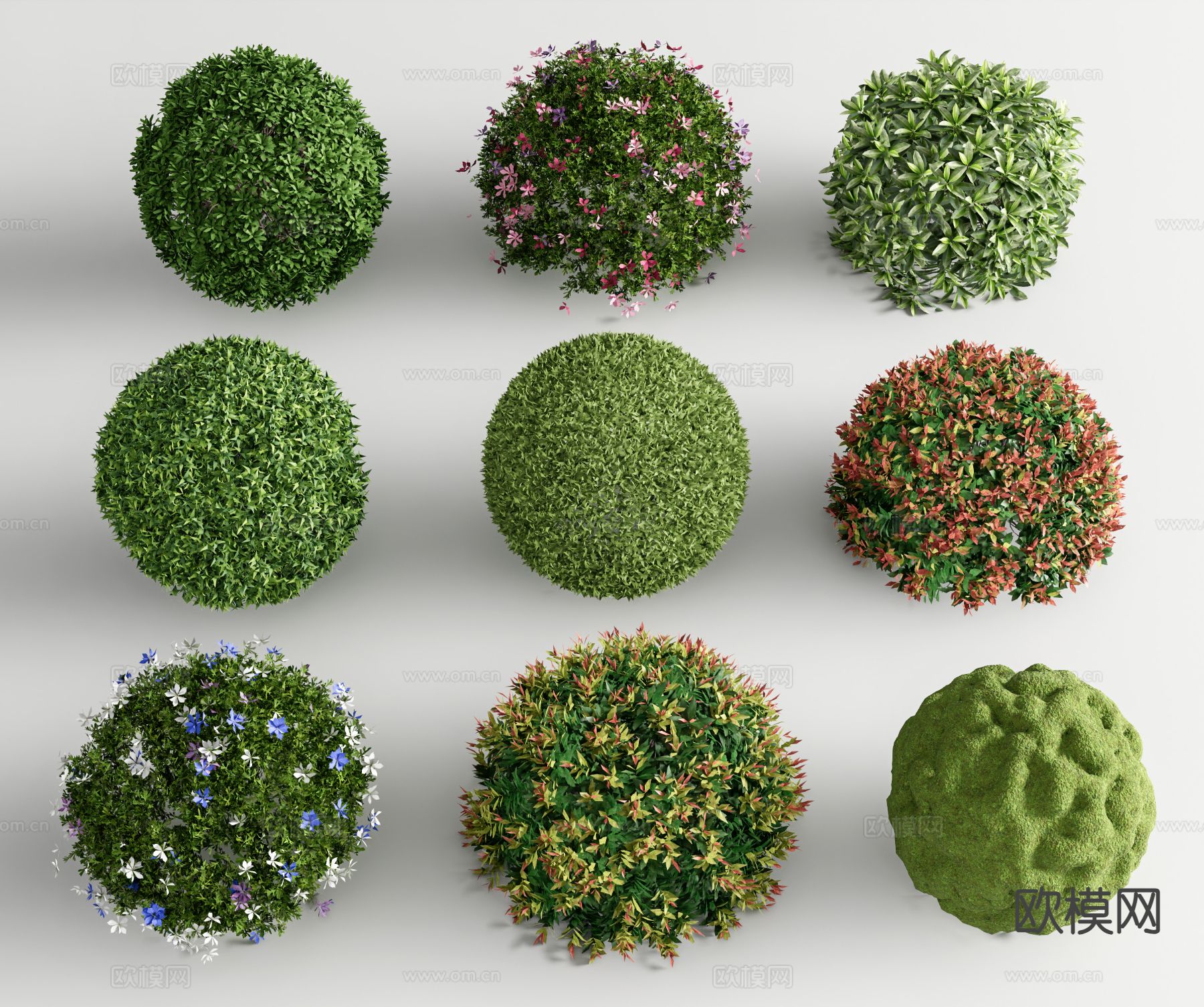灌木绿篱 灌木球 灌木丛su模型下载（渲染图2）
