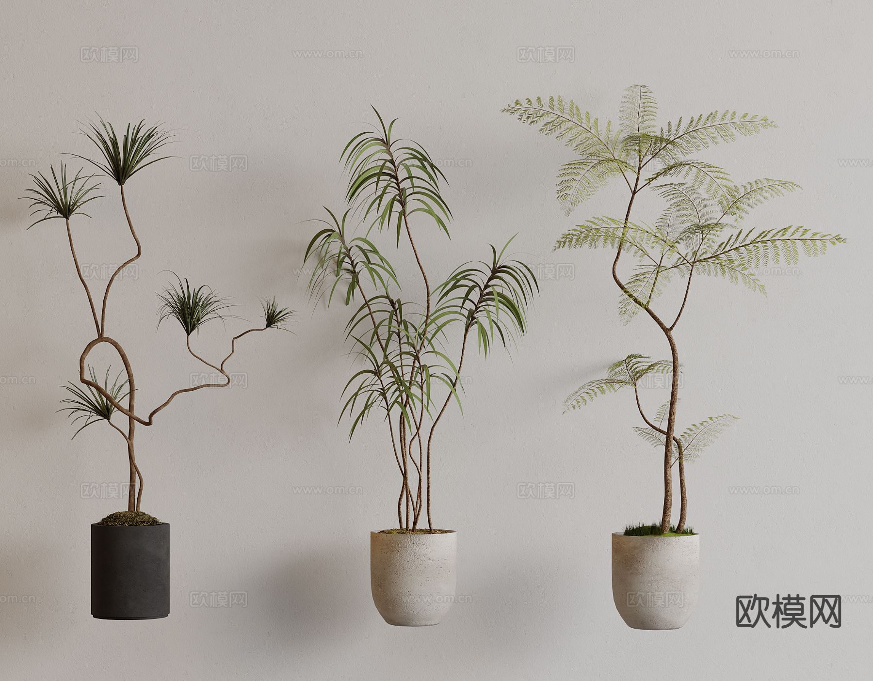 现代绿植盆栽 花盆 室内植物3d模型