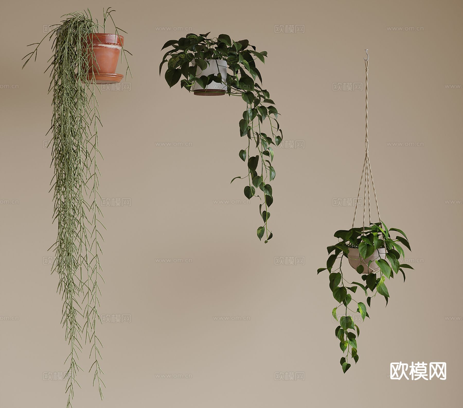 现代吊篮 植物 吊兰3d模型