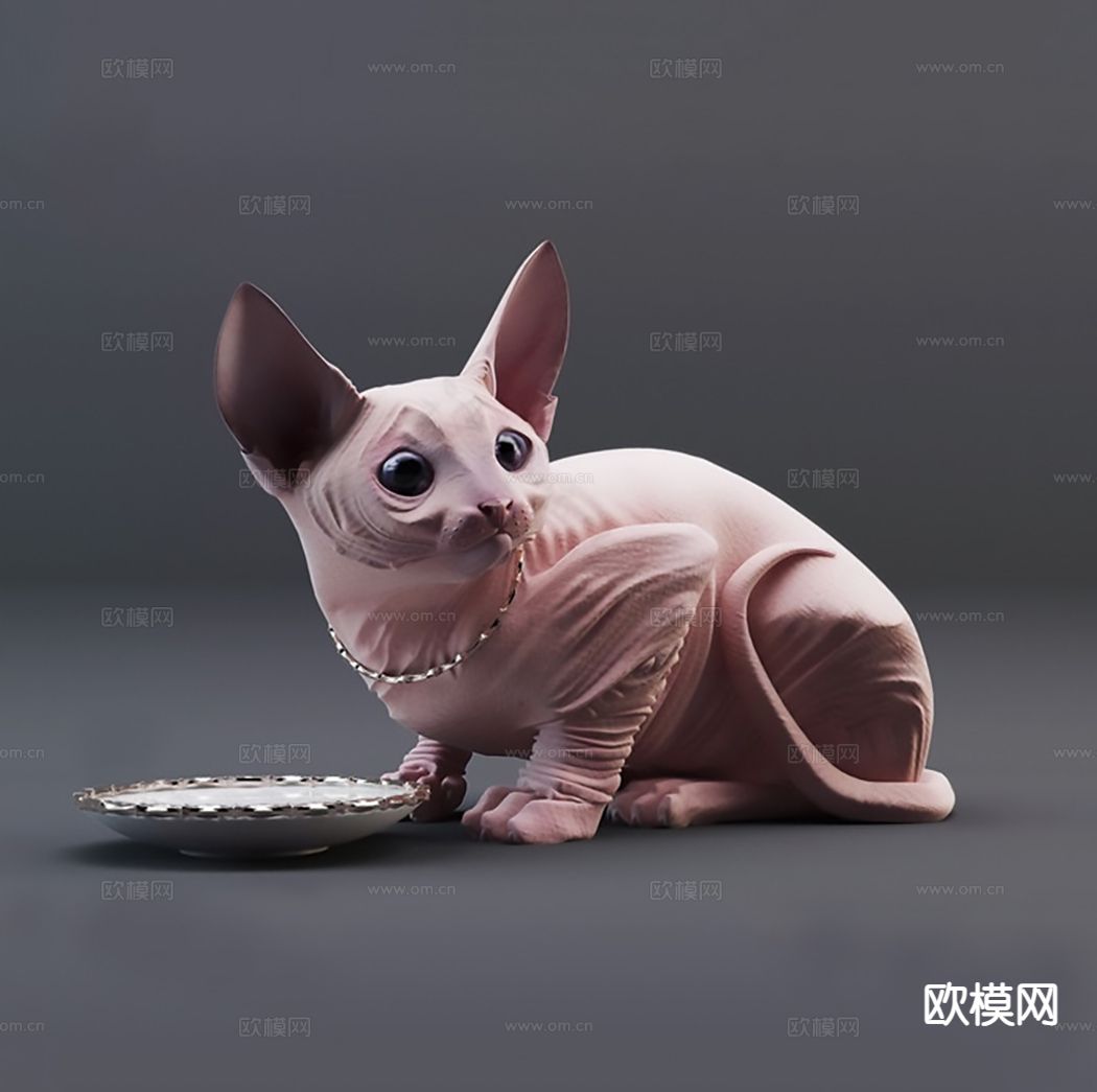 动物 猫 宠物猫3d模型