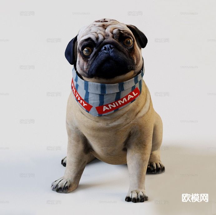 宠物狗 金毛 斗牛犬 哈皮狗 中华田园犬3d模型