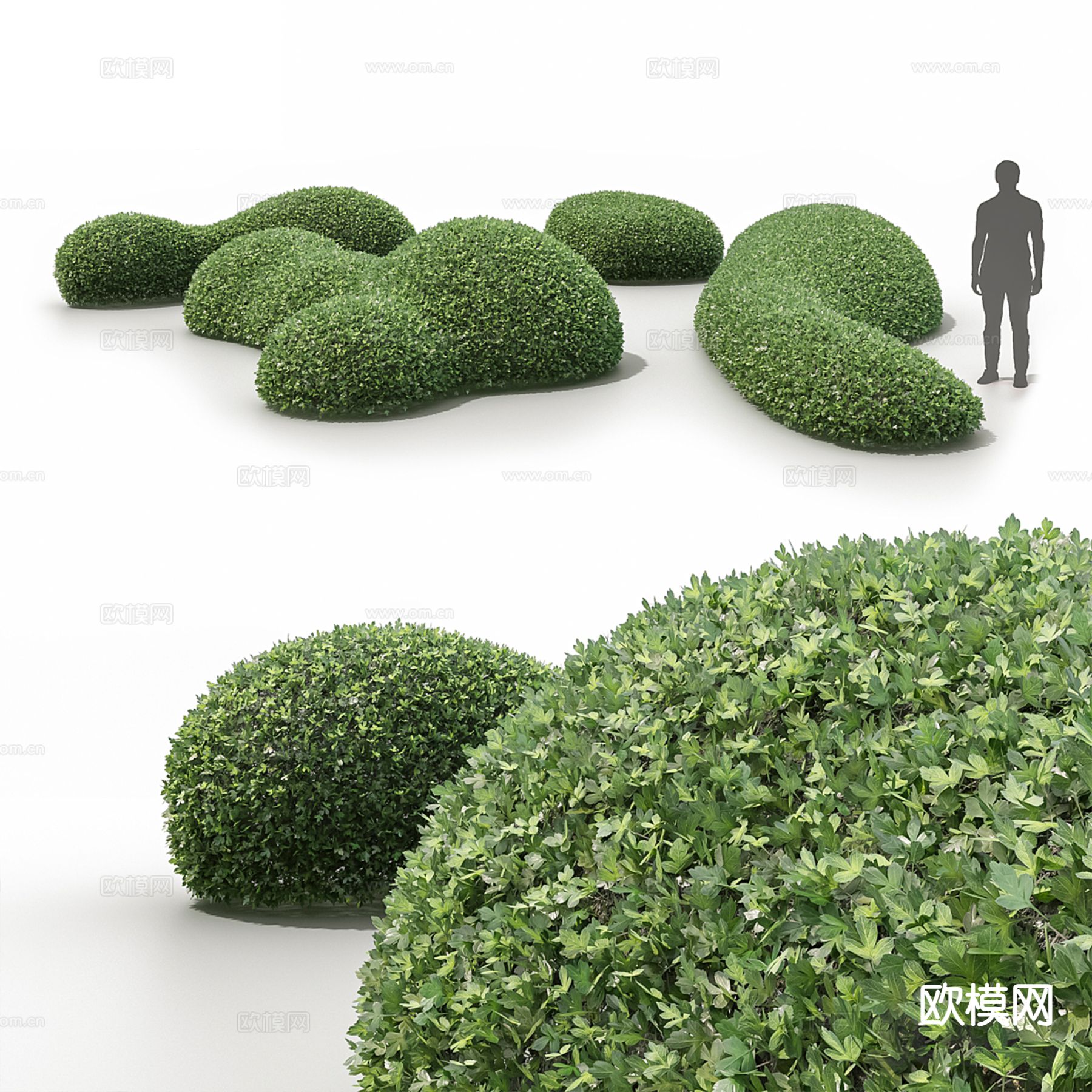 现代灌木 植物 绿篱 绿化带3d模型