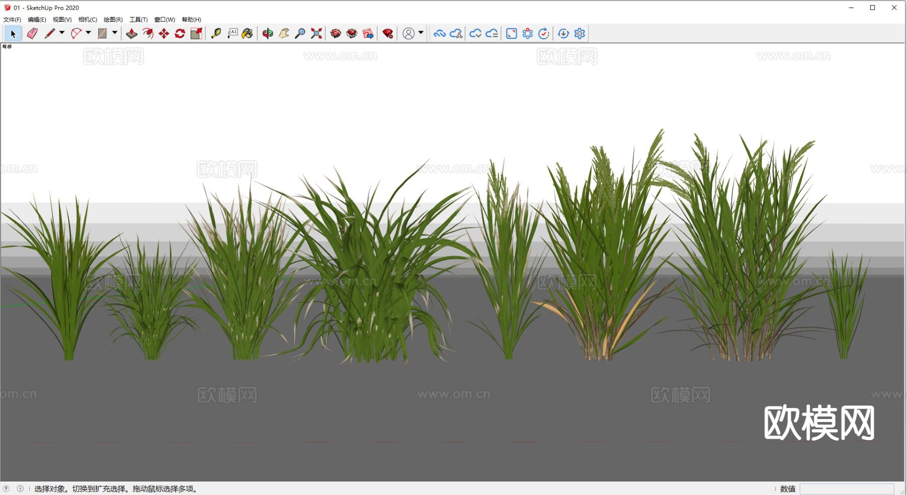 水稻 农作物su模型下载（渲染图1）