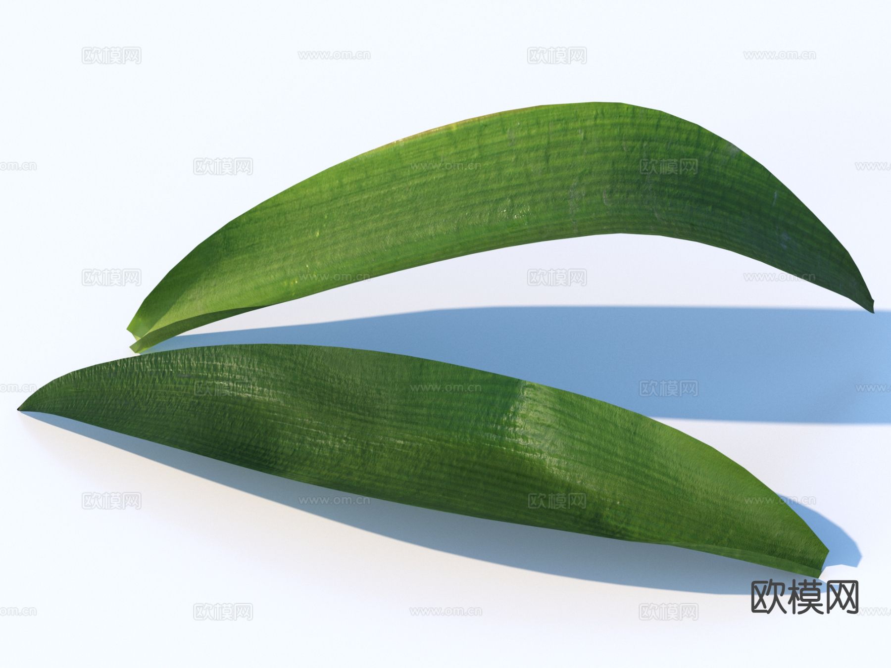 蔬菜 菜叶 树叶 食物3d模型下载