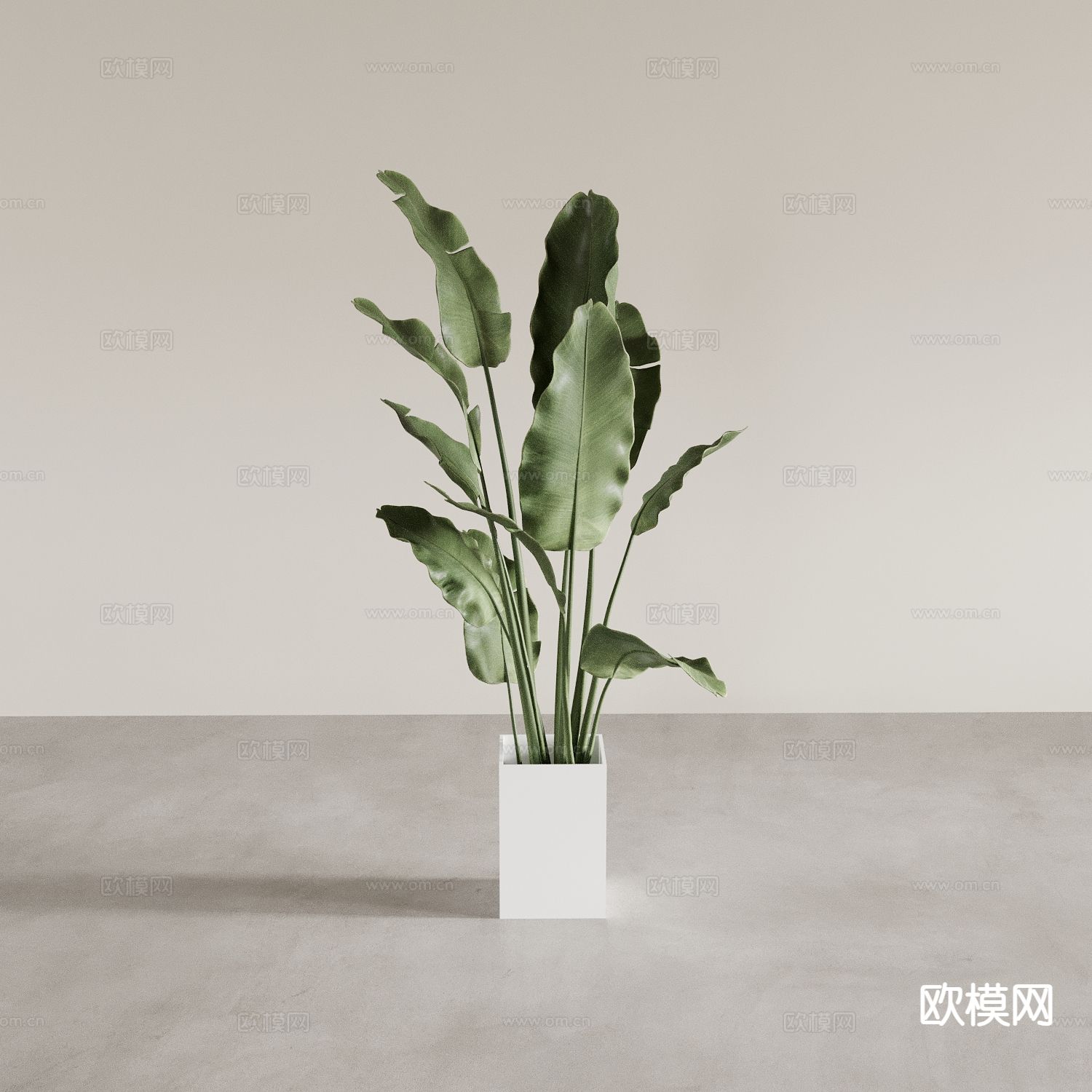 绿植盆栽 盆景3d模型