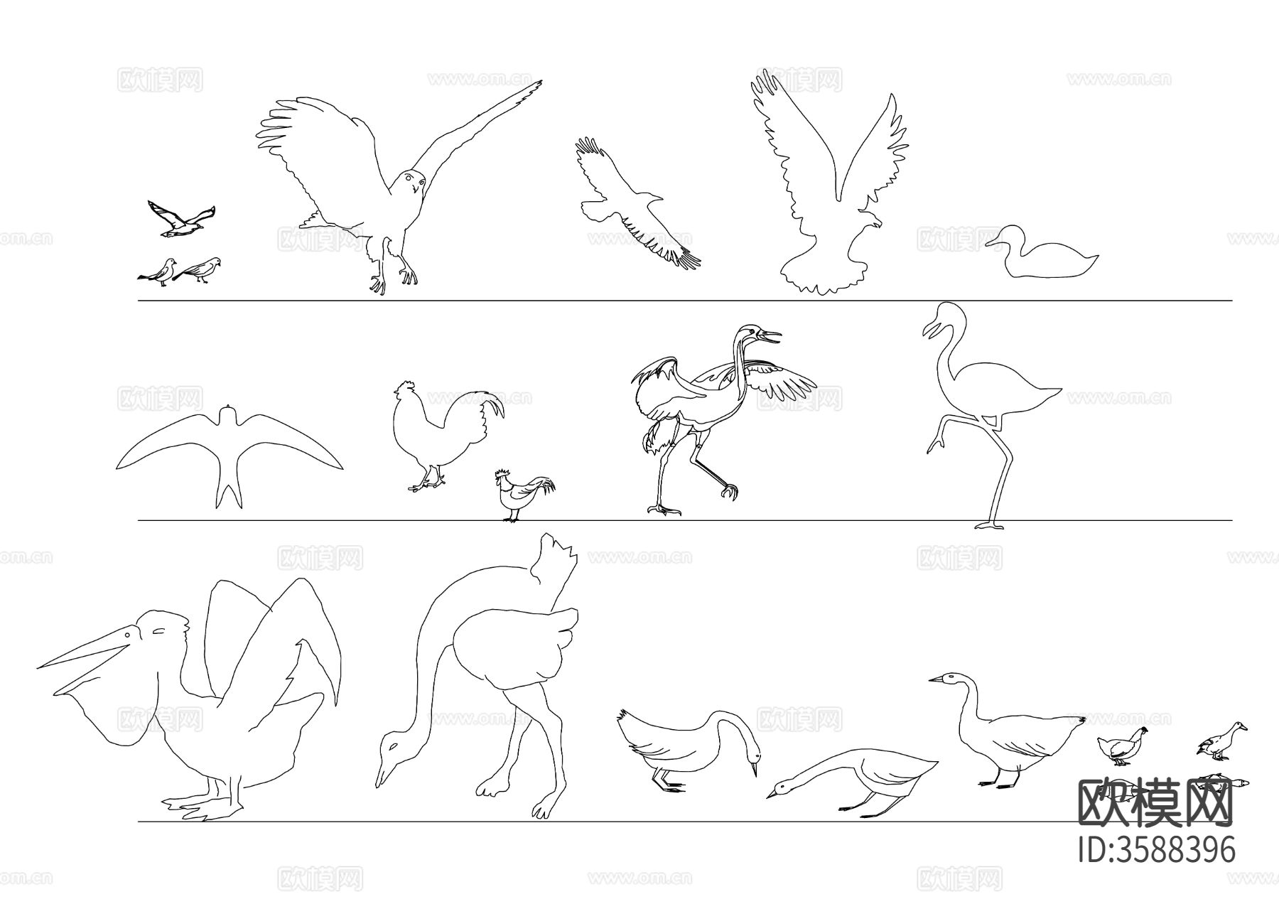 鸟类动物cad图库下载