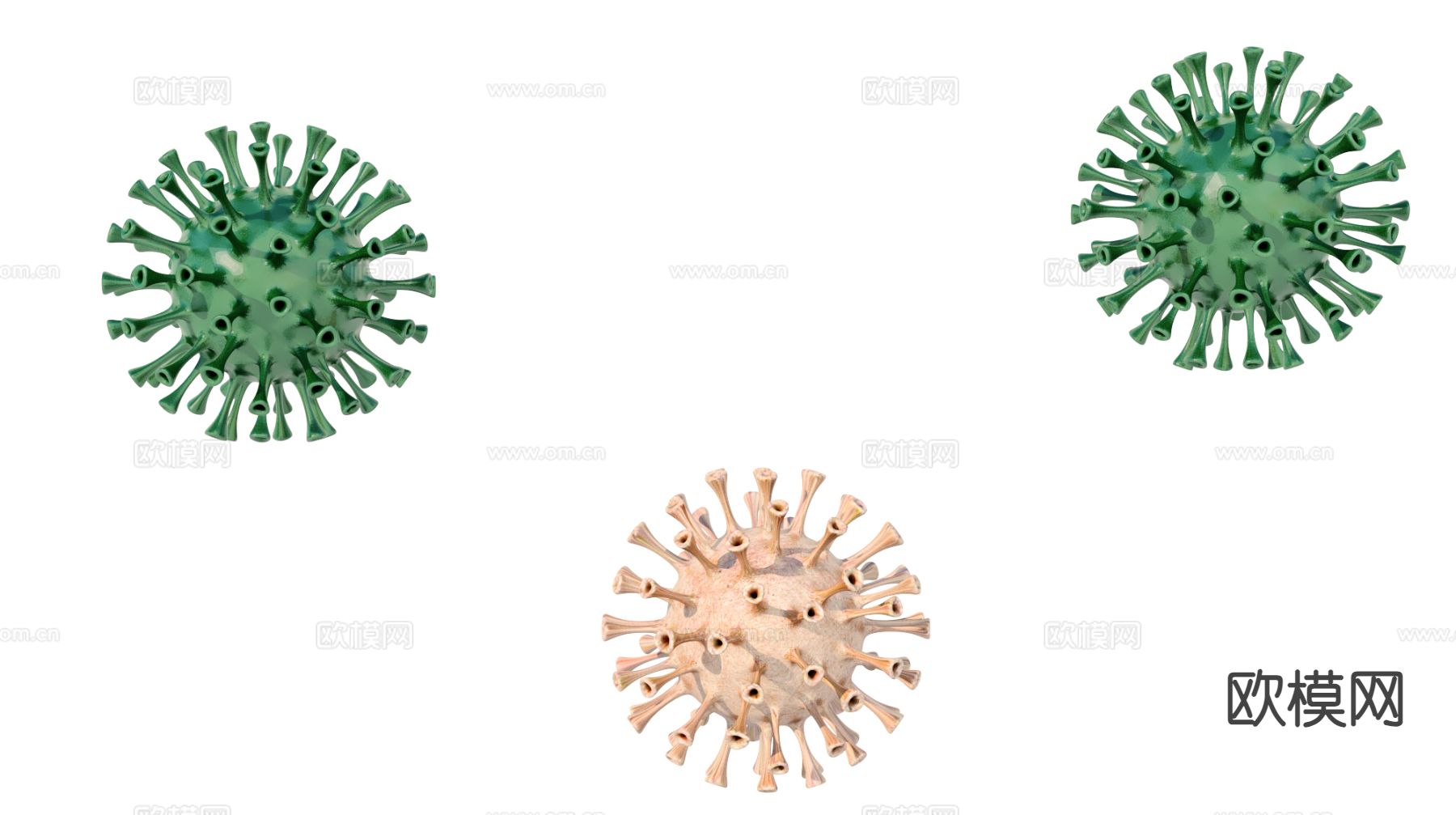 病毒 微生物 细菌3d模型