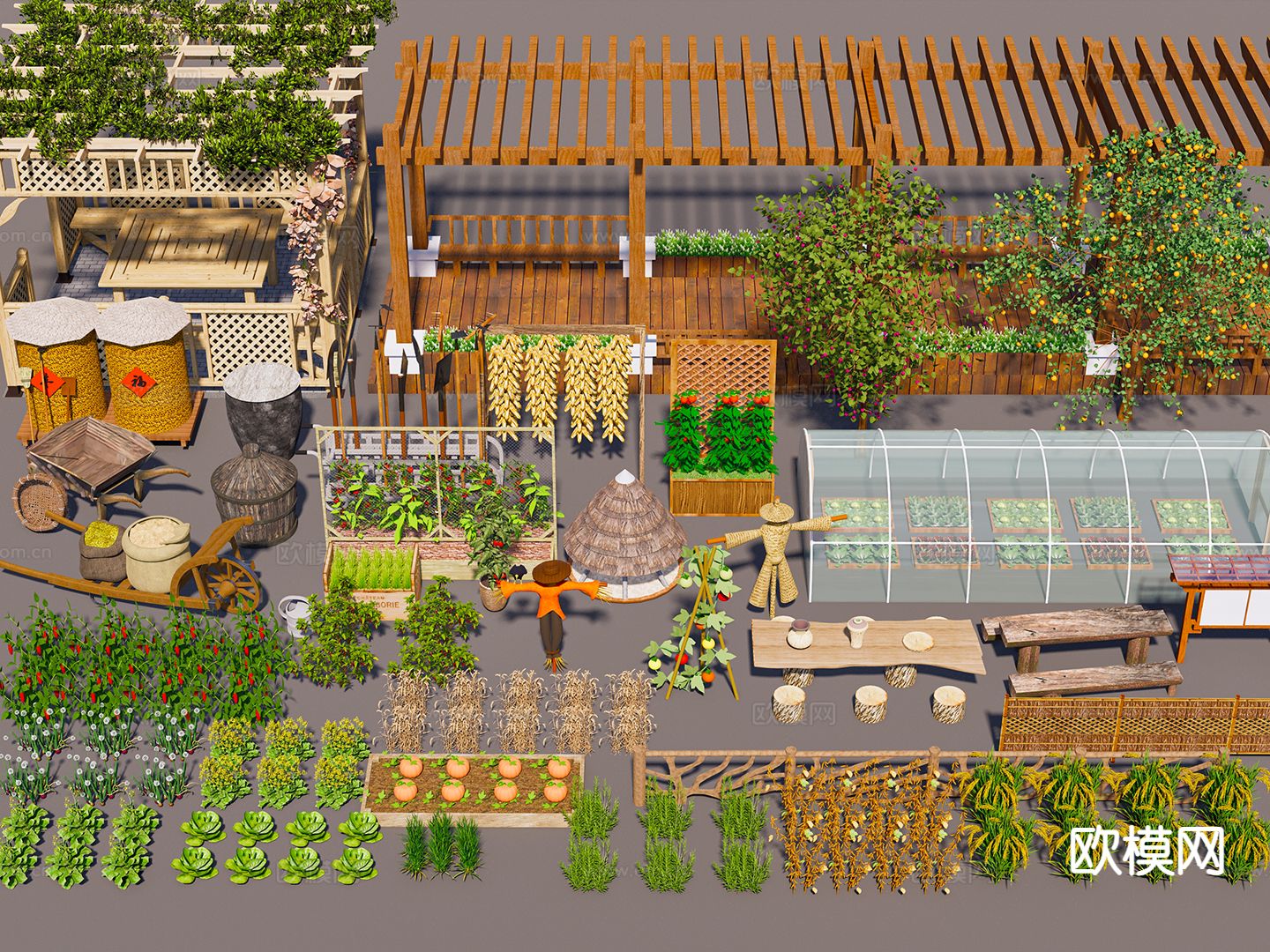 农作物 小麦 水稻 辣椒 大棚蔬菜su模型下载（渲染图2）