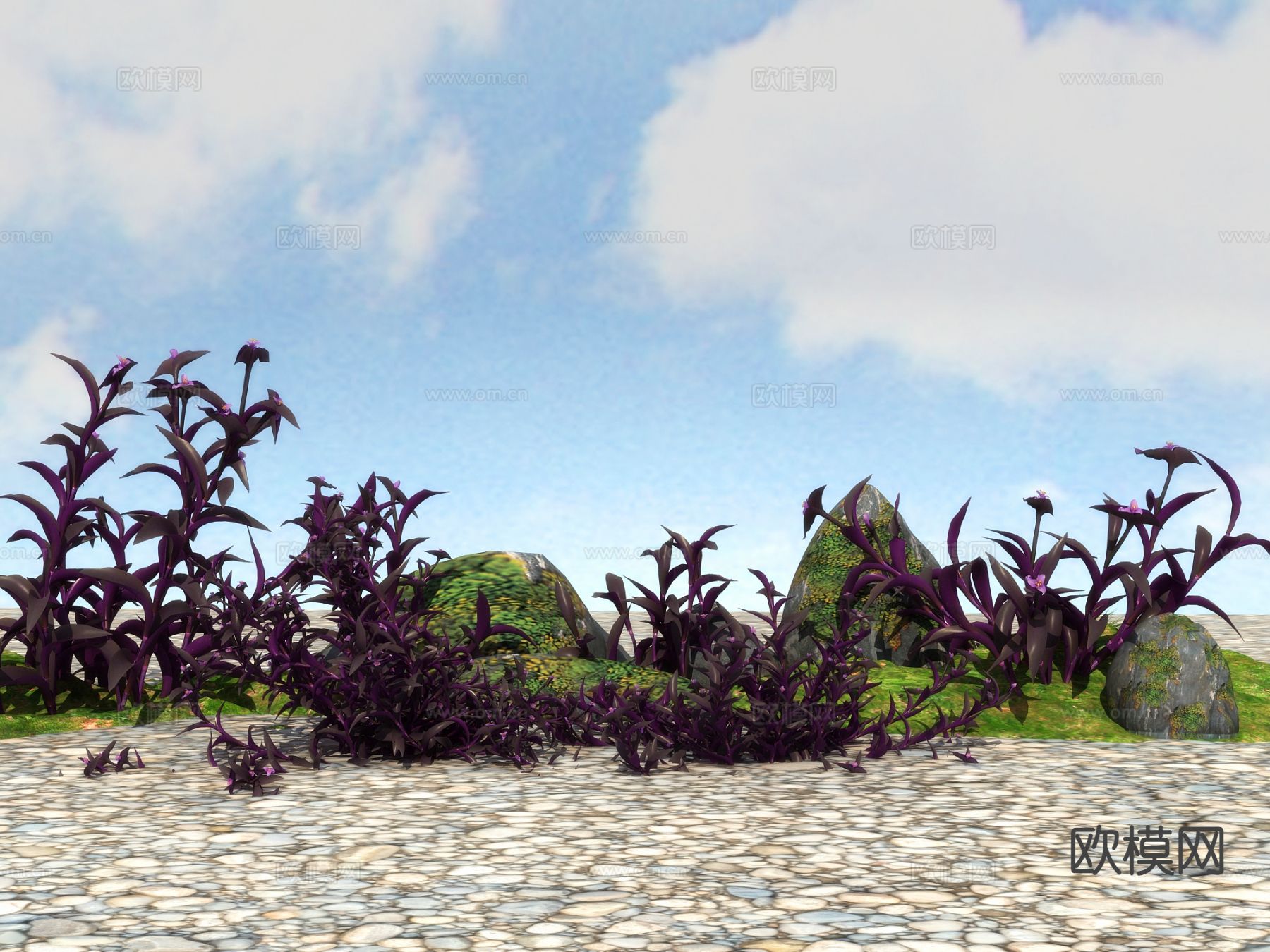 花草 植物3d模型下载