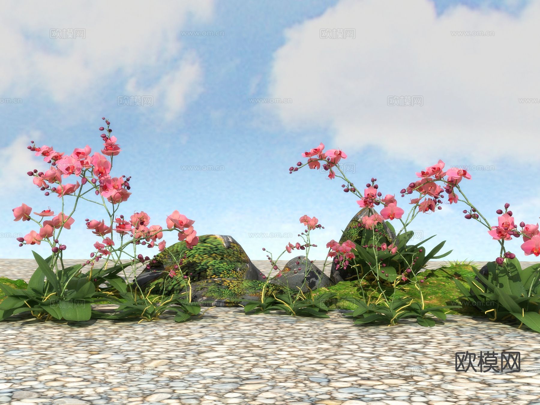 小红花 花草  植物3d模型