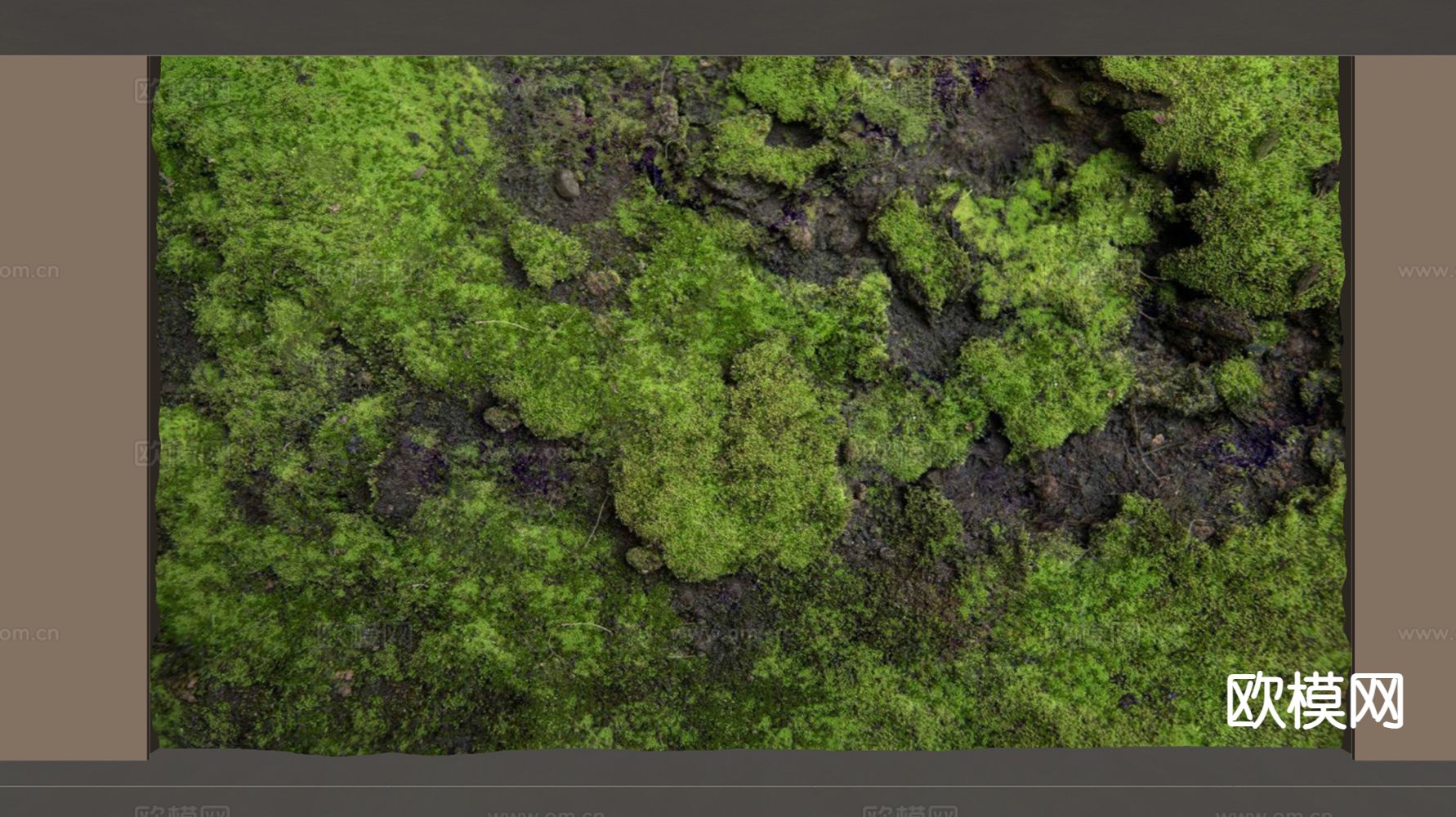 苔藓绿植墙 植物墙su模型下载（渲染图1）