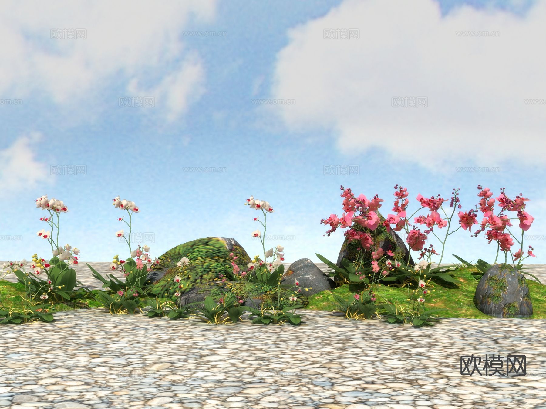 小黄花 红花 植物3d模型