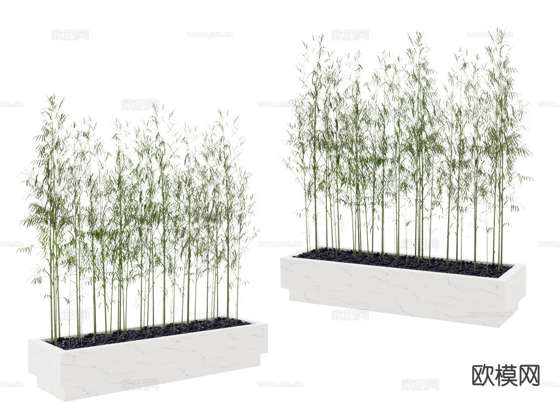 植物 竹子3d模型