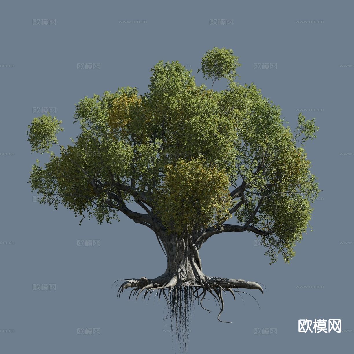 现代大树 景观树 灌木植物3d模型