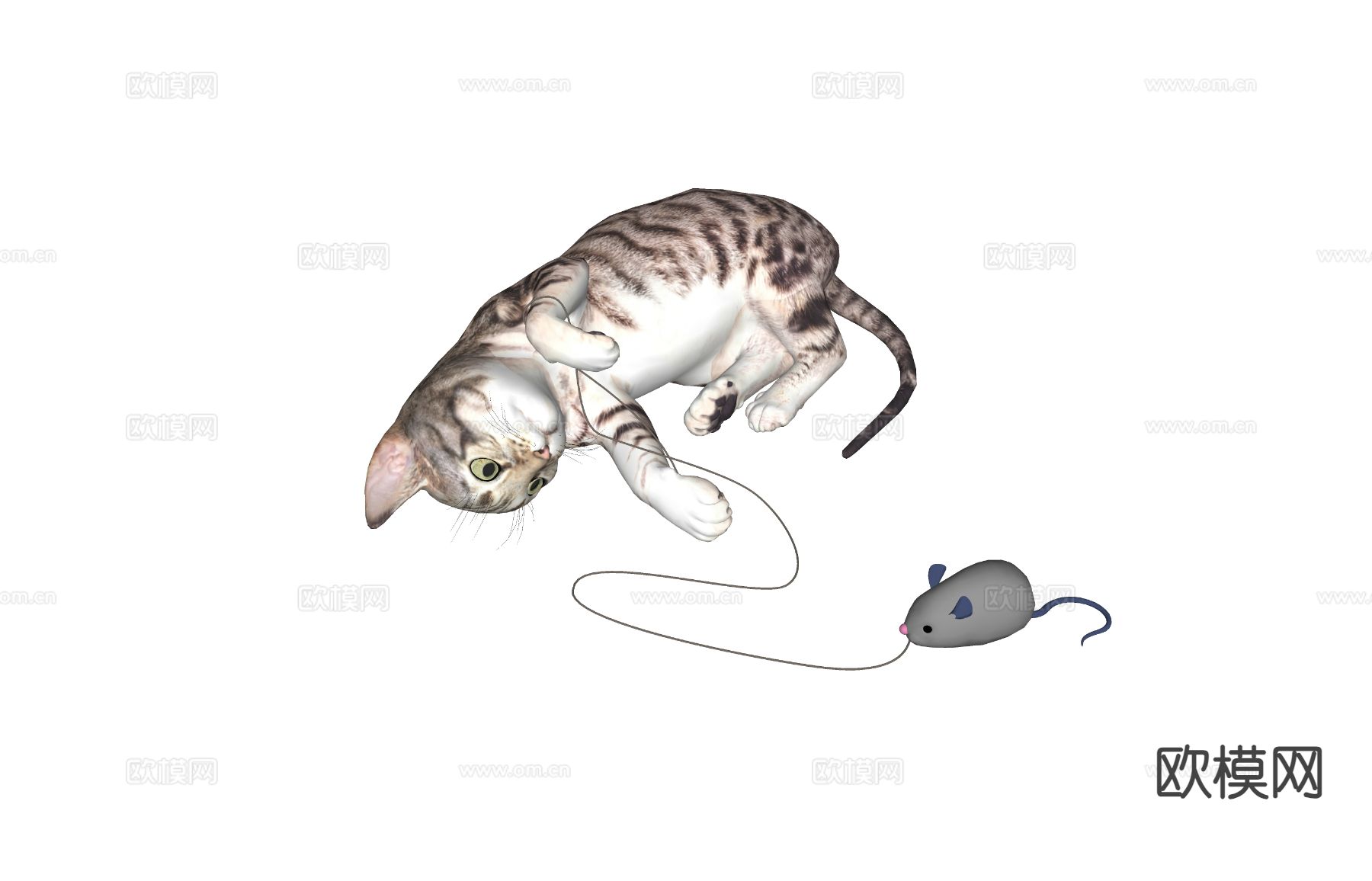 动物 猫咪 宠物猫su模型下载（渲染图1）