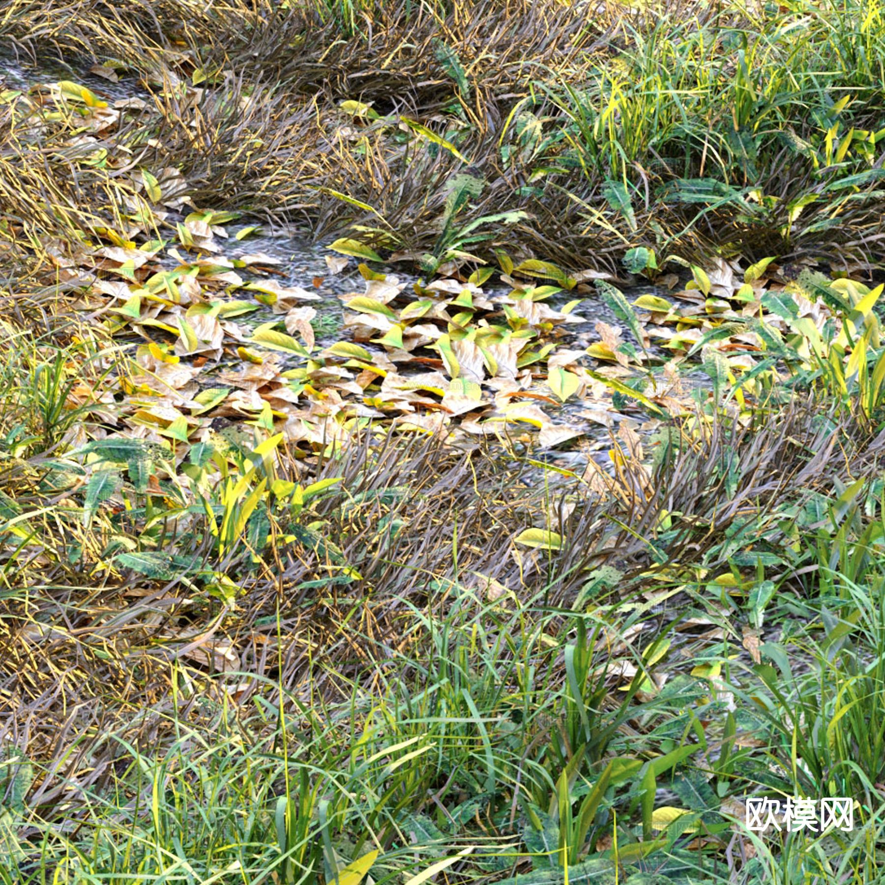 野外草地 草坪 花草植物 植被 野草3d模型