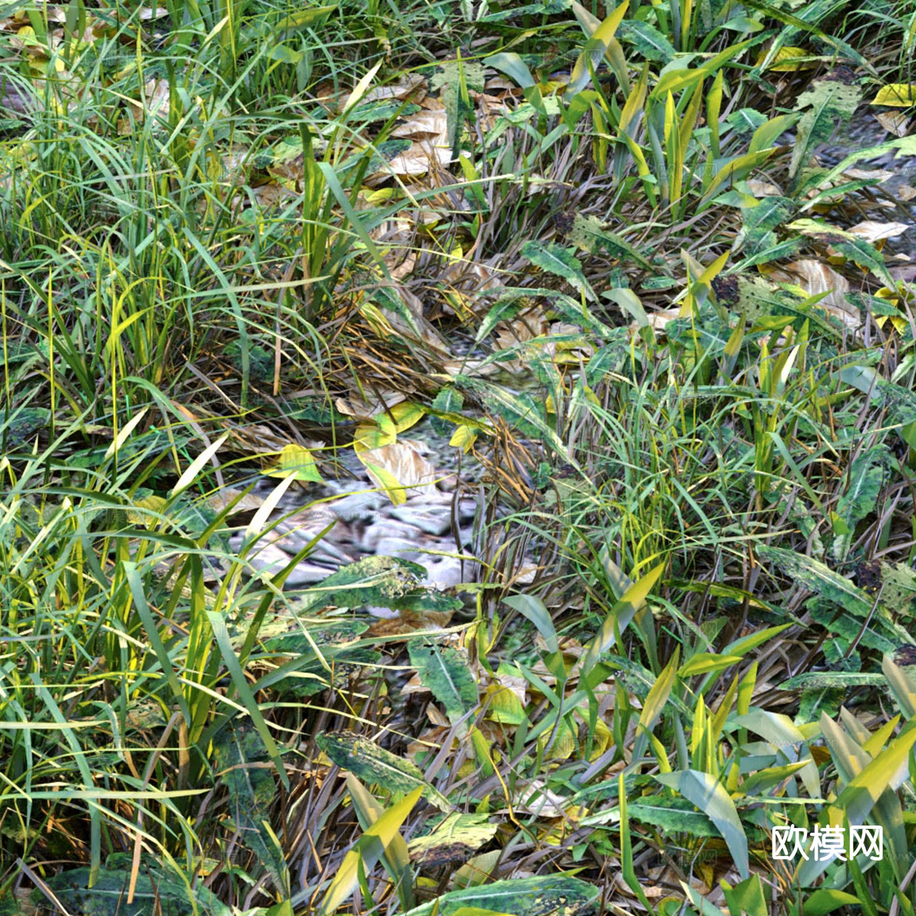 野外草地 草坪 花草植物 植被 野草3d模型