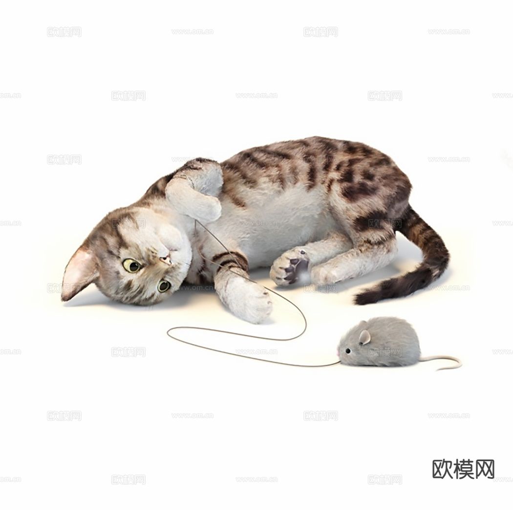 动物 猫咪 宠物猫su模型下载（渲染图2）