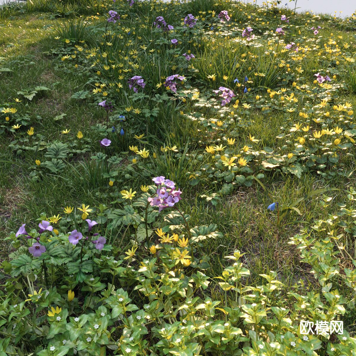 野外草地 草坪 野草杂草 花草3d模型