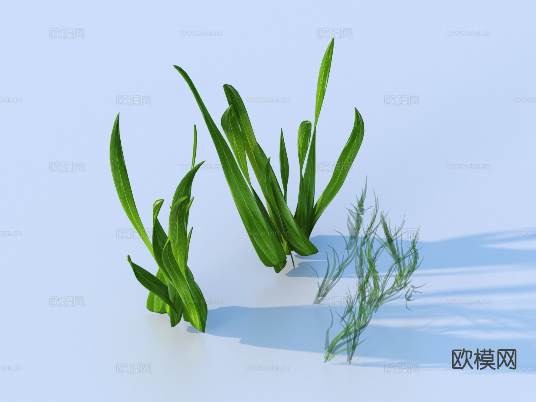 水草 海底植物3d模型