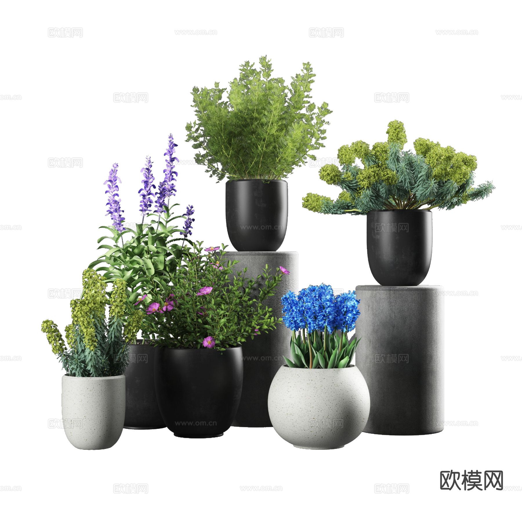 现代绿植盆栽 盆景 花盆3d模型