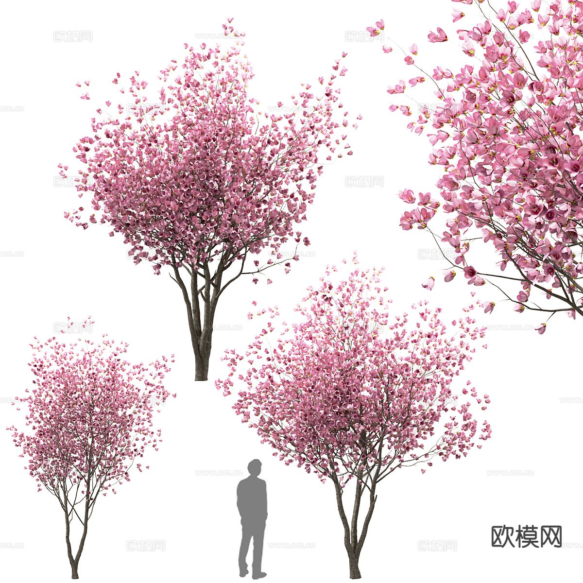 新中式桃花桃树 景观桃树3d模型