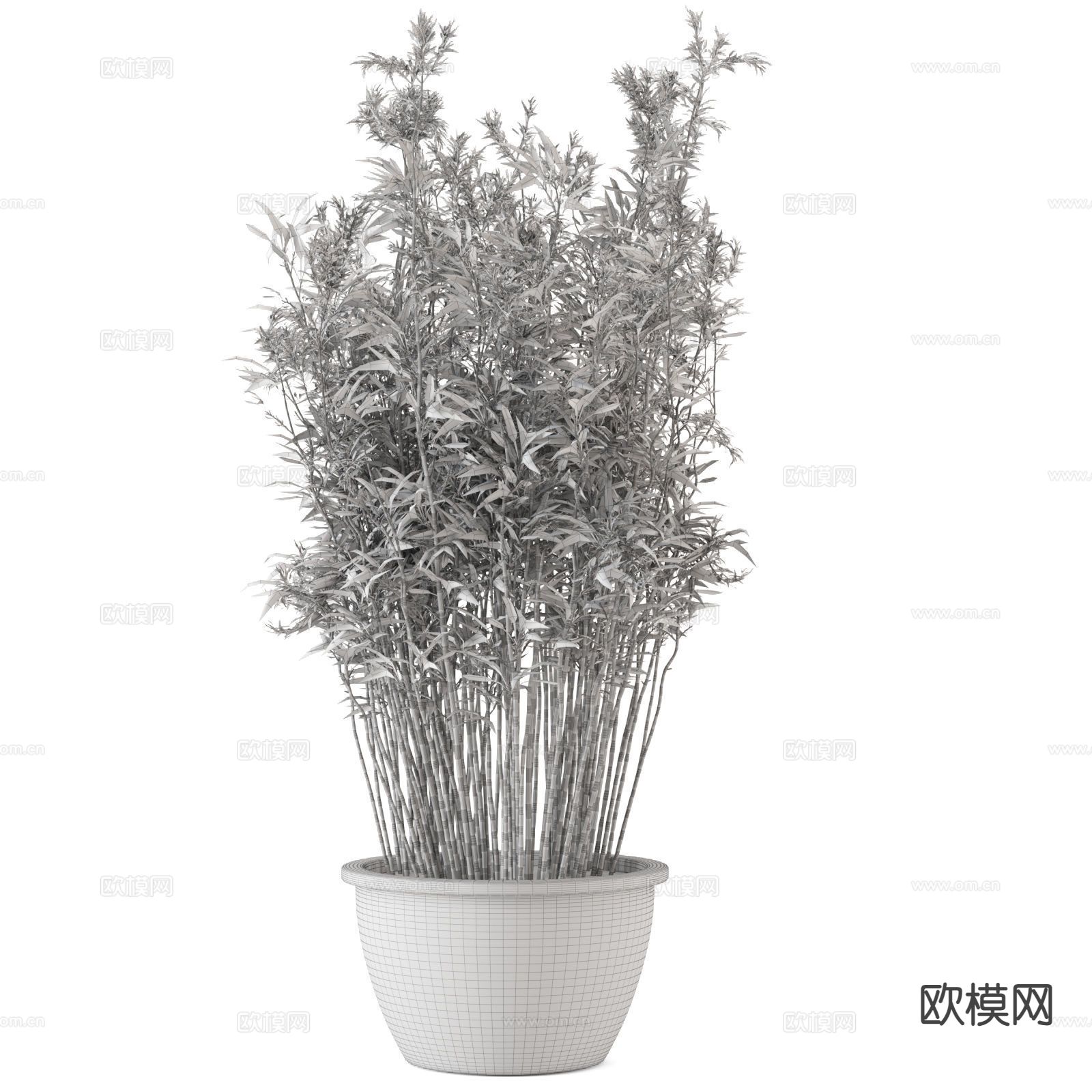 盆栽 竹子 植物3d模型