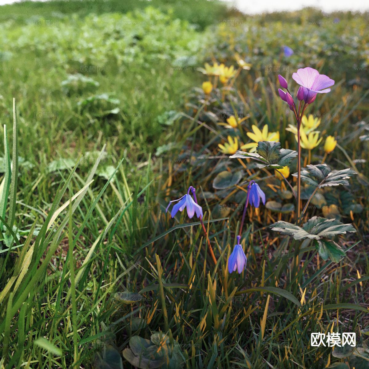 野外草地 草坪 野草杂草 花草3d模型